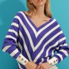 Blue & White V-Neck Sweater - Boutique Des Femmes